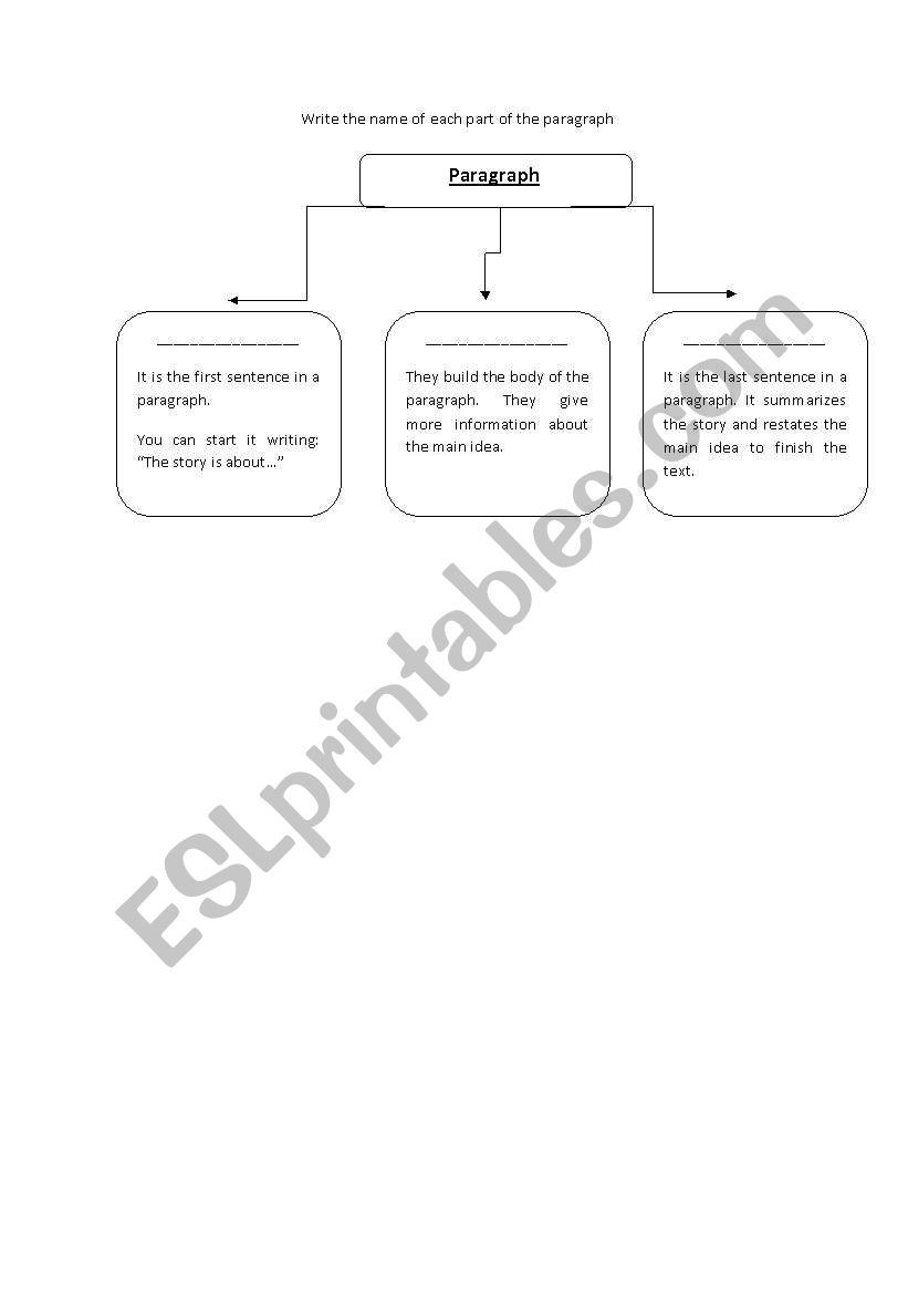 Parts of the paragraph worksheet