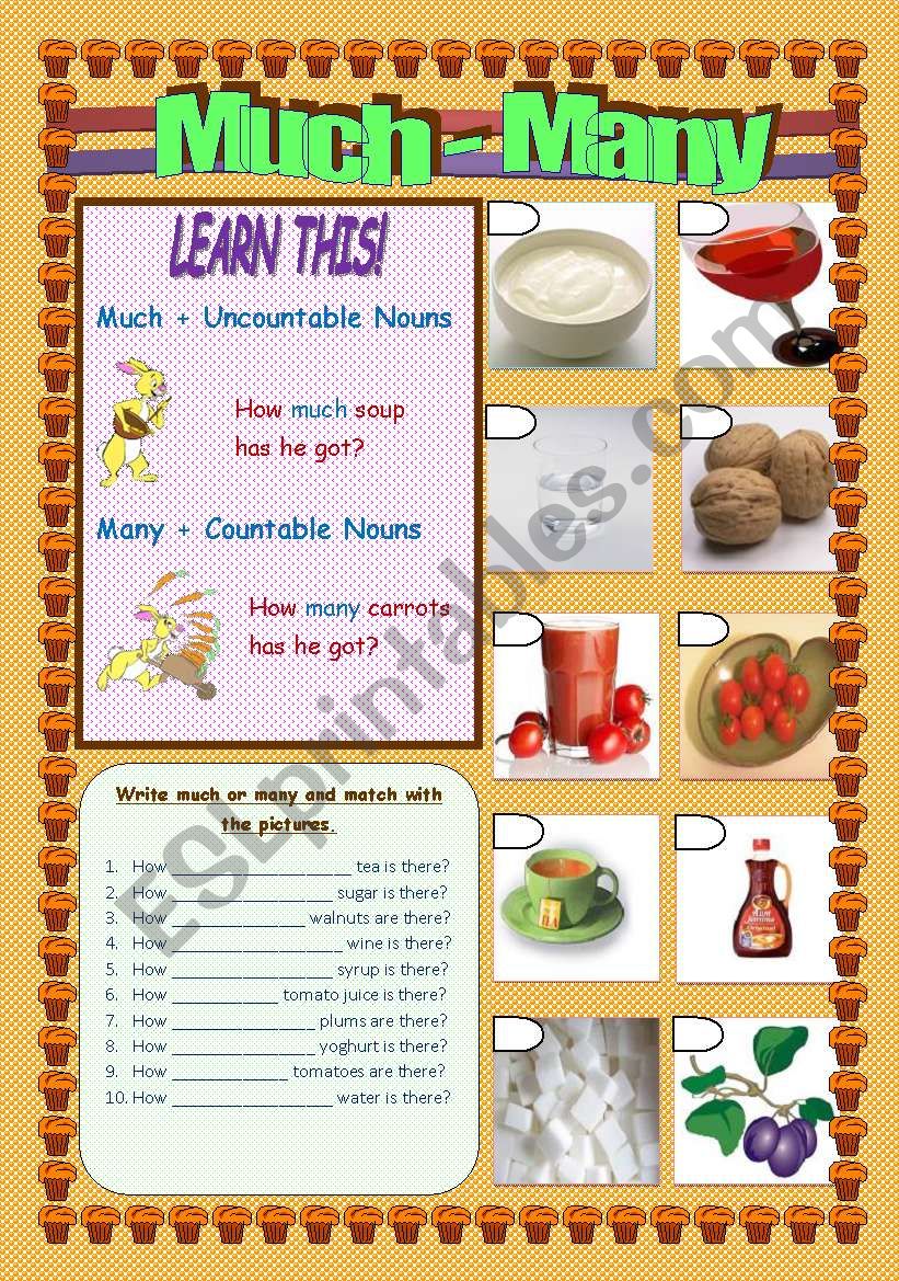 QUANTIFIERS: MUCH - MANY worksheet