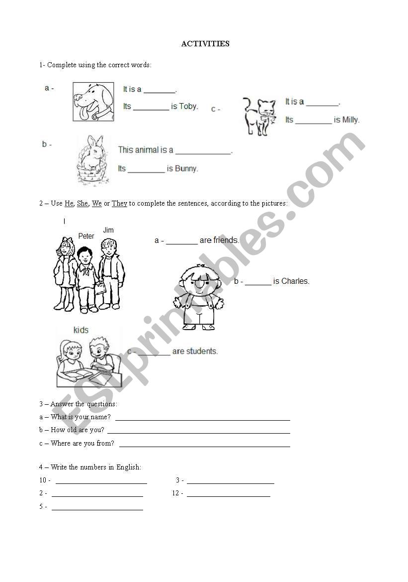 Numbers and verb to be worksheet