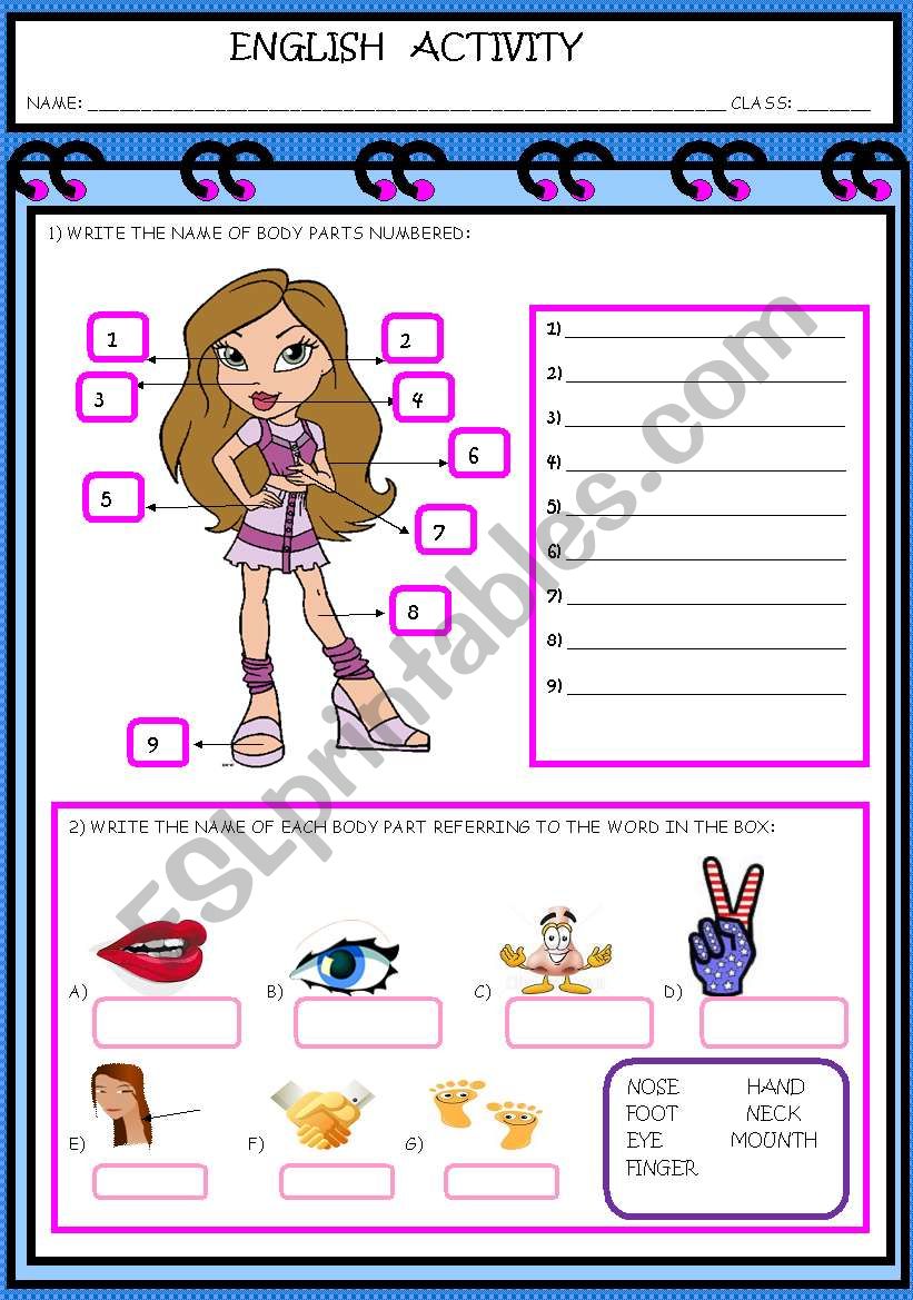 BODY PARTS worksheet