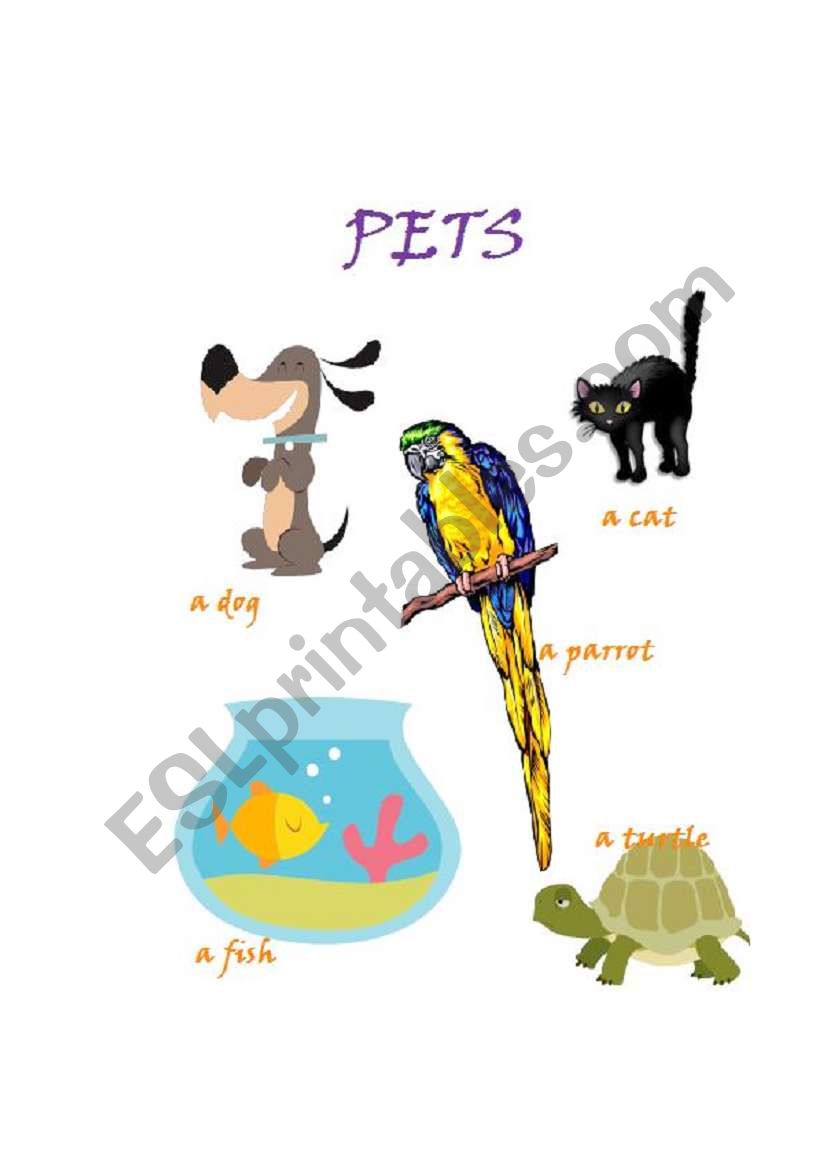 Pets worksheet