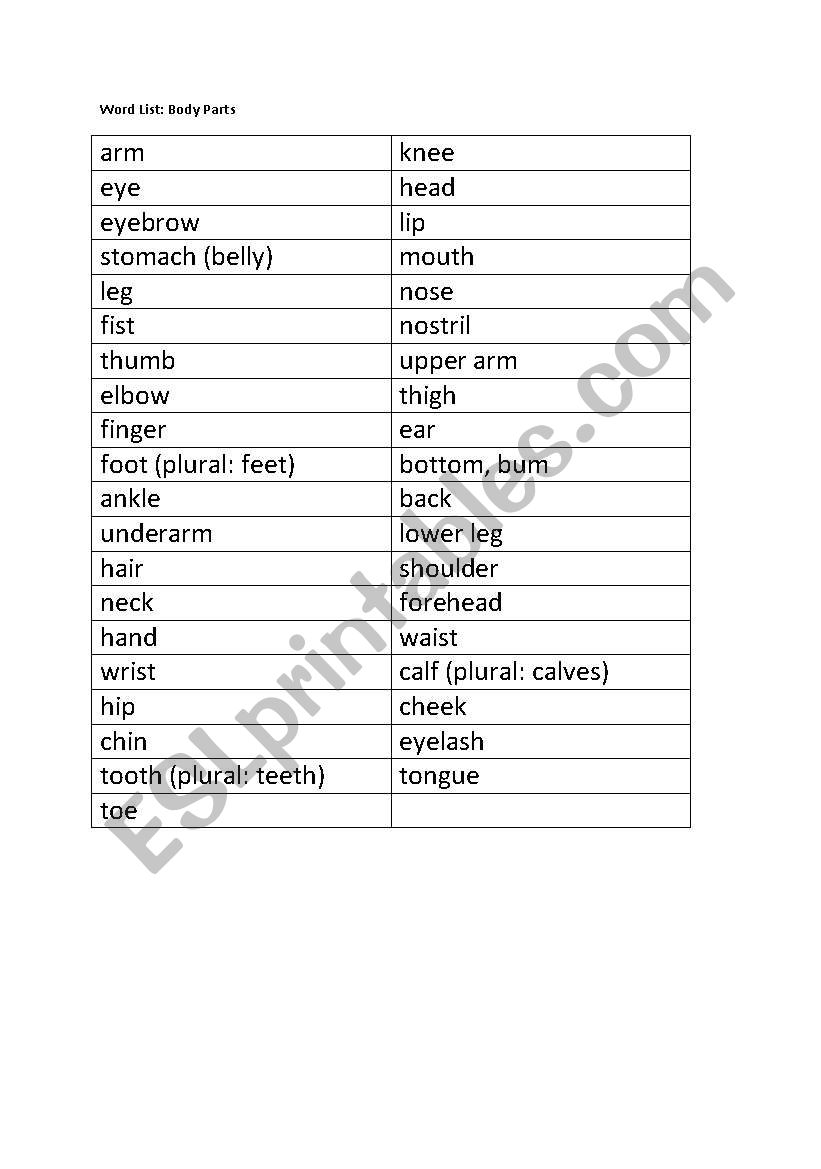 Parts of the Body Exercises worksheet