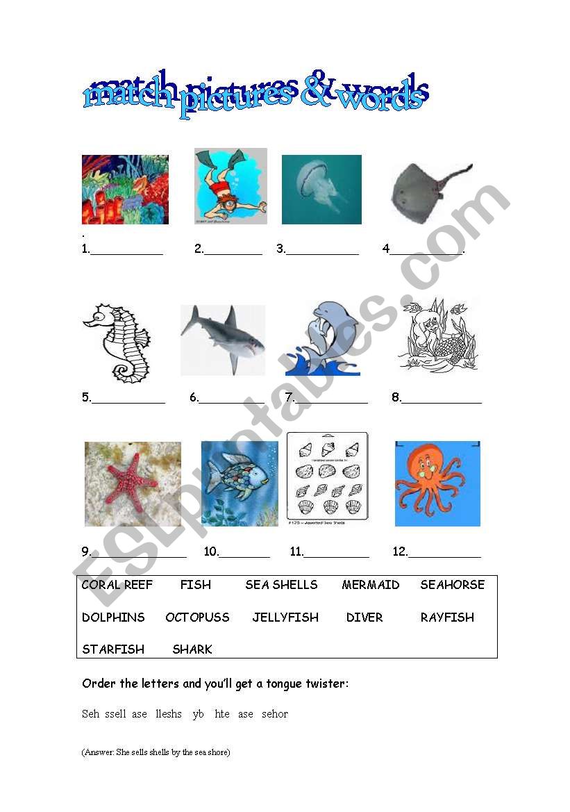 Sea animals worksheet for children