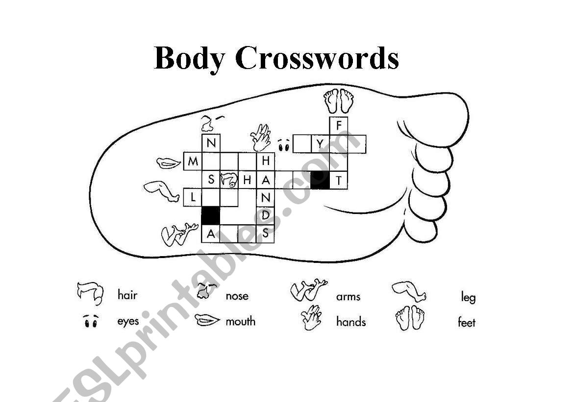 Body Crosswords worksheet
