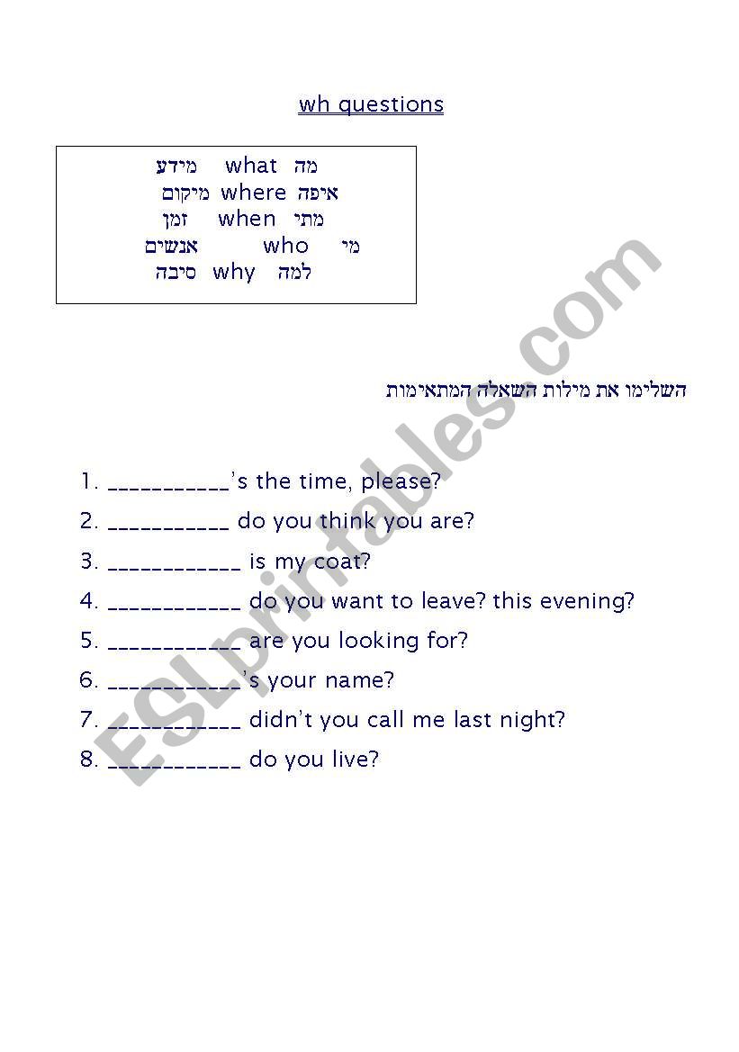 wh questions worksheet