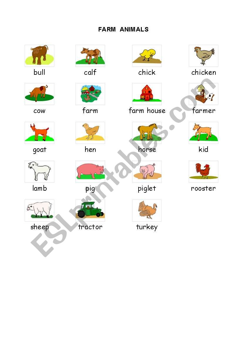 animals pictionary worksheet