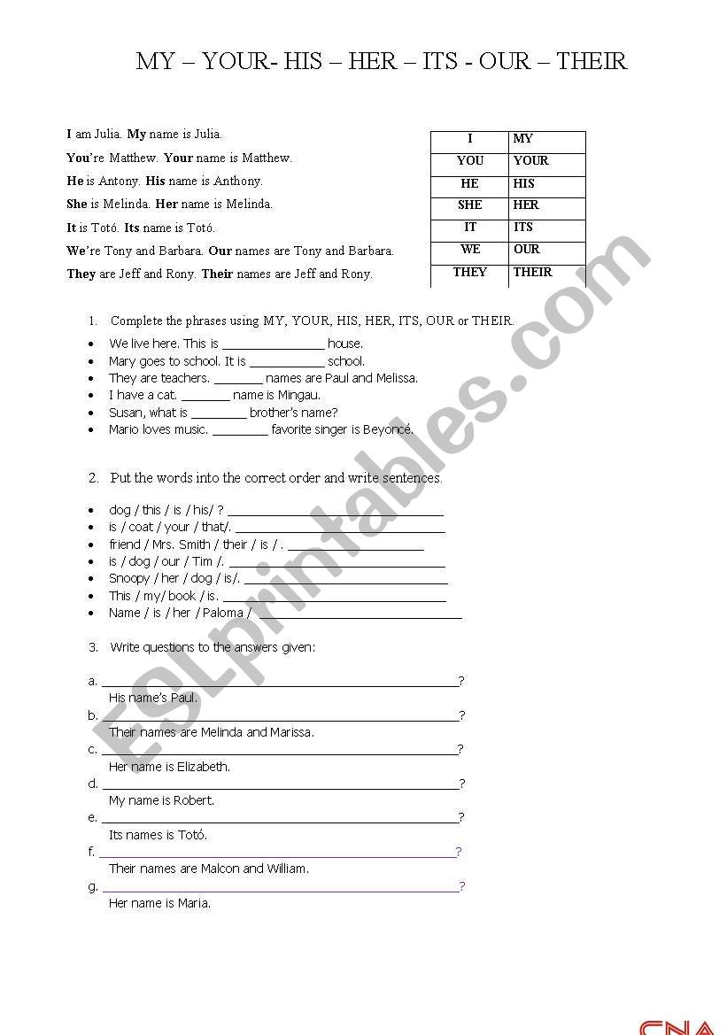 possessive  worksheet