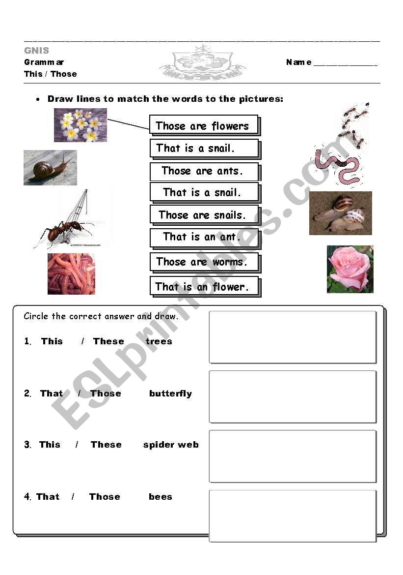 garden this and that practice worksheet