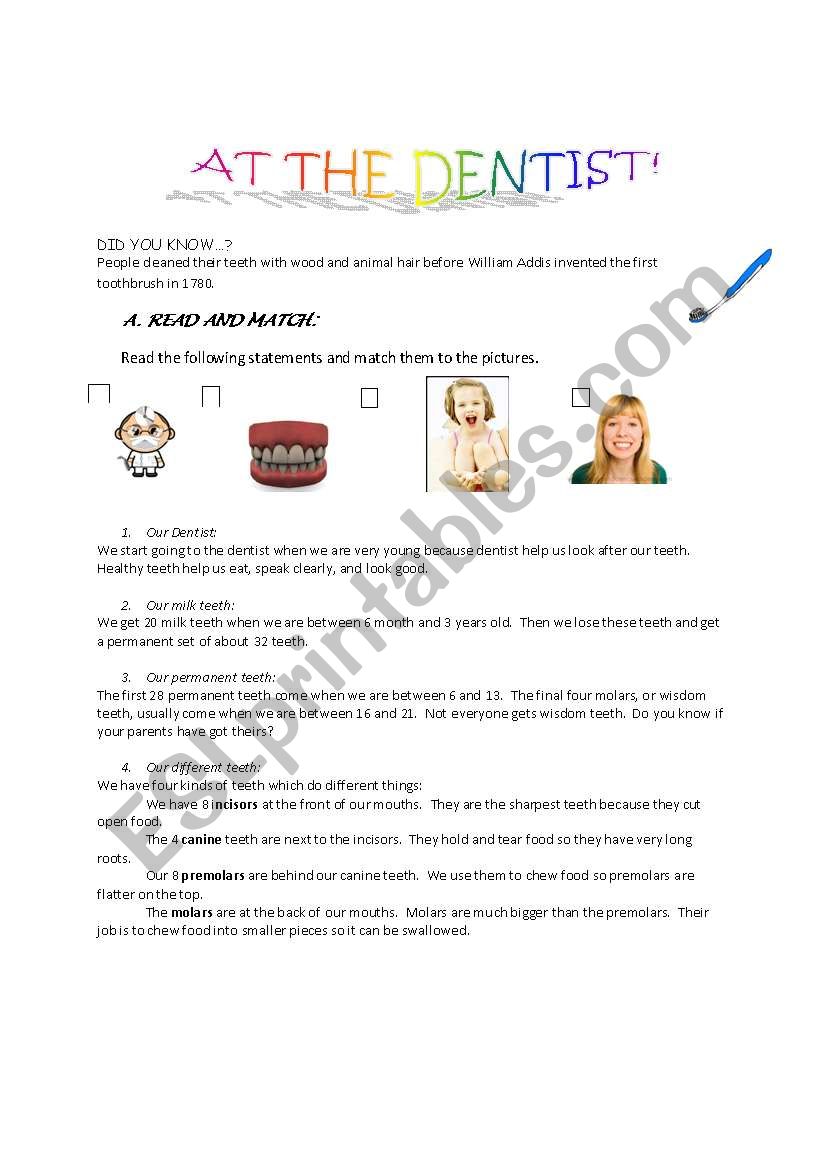 At the dentist part 1 worksheet