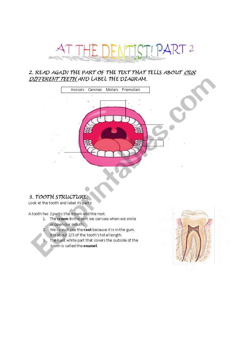 At the dentist part 2 worksheet