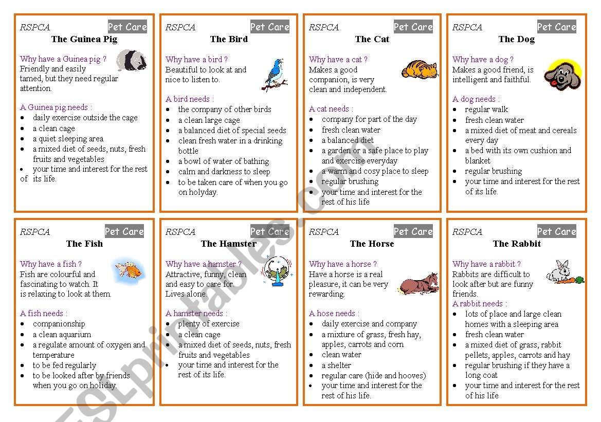 Pet Care Cards worksheet