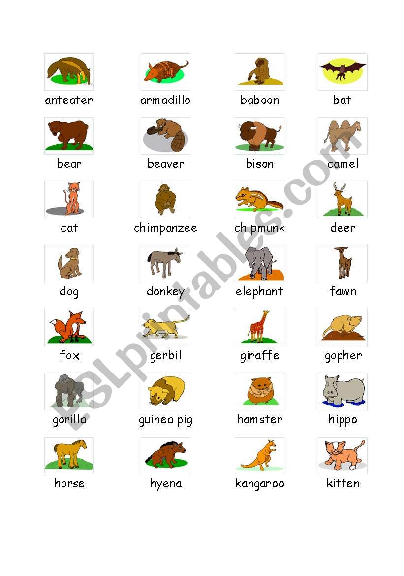 animals worksheet