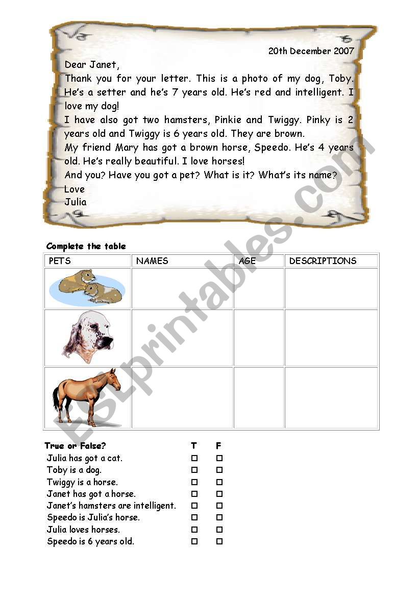 A letter on pets worksheet