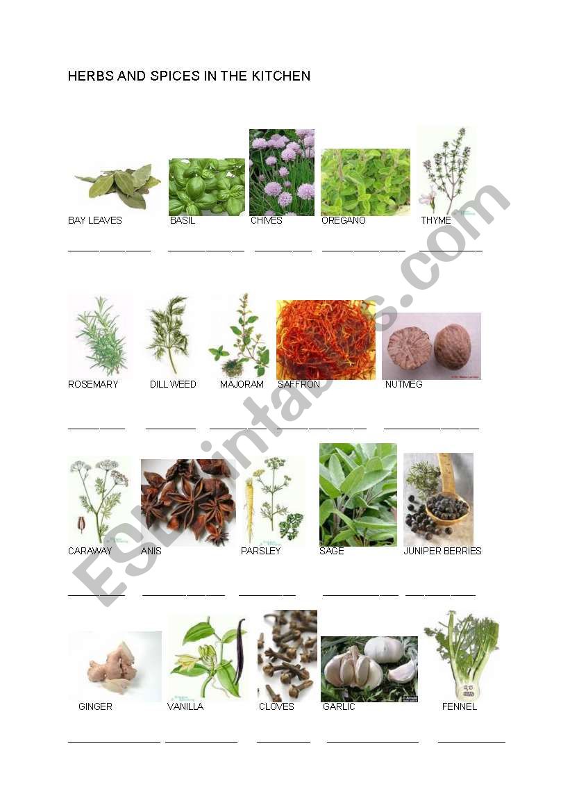 herbs-and-spices-in-the-kitchen-esl-worksheet-by-klin-ev