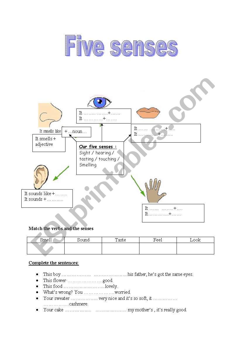 five senses  worksheet