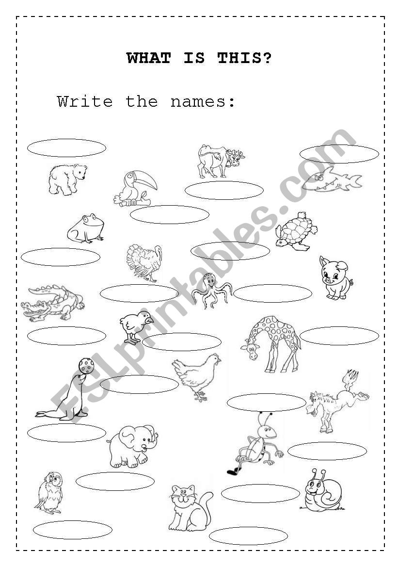 Animals worksheet