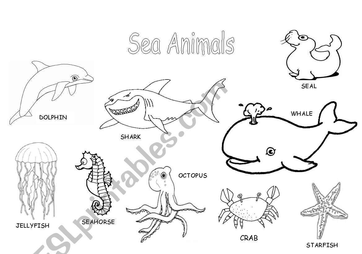 Sea animals worksheet