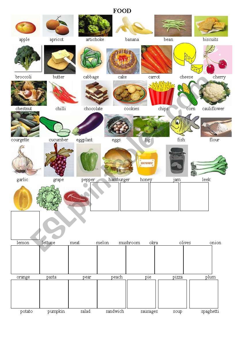 food worksheet