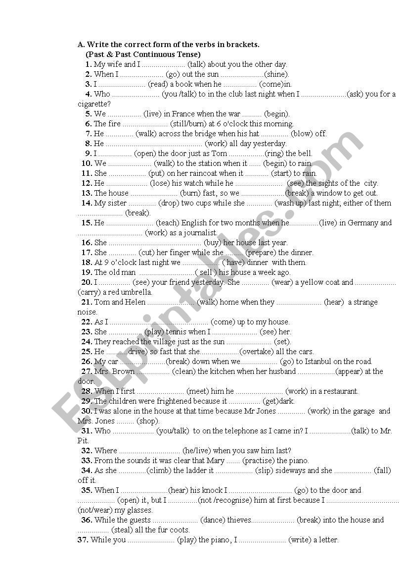 simple past-past continuous worksheet