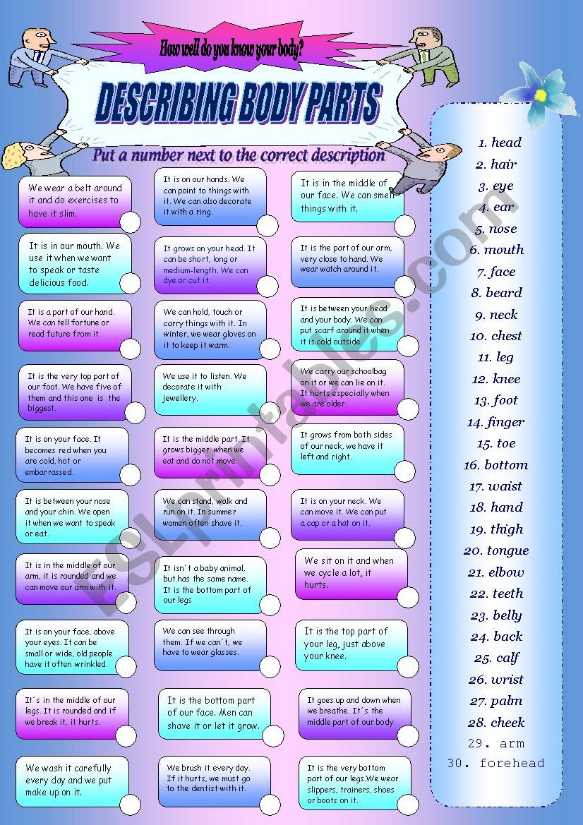 Describing body parts worksheet