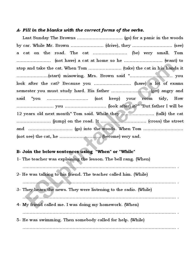 PAST SIMPLE-PAST CONTINUOUS worksheet