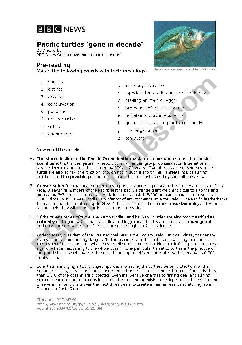 Pacific Leatherback Turtles worksheet