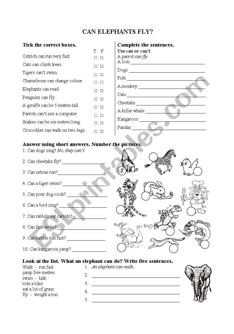 Can elephants fly? worksheet