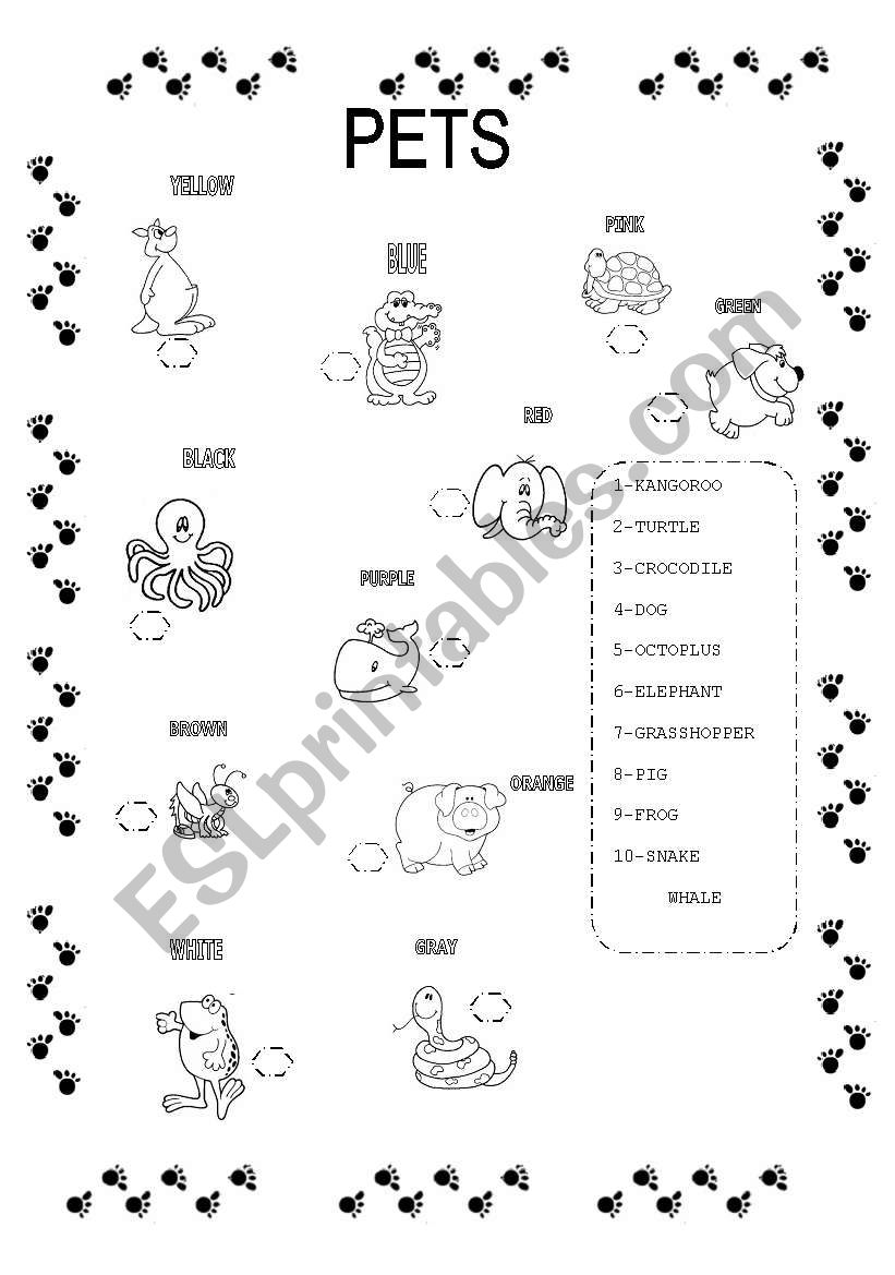 PETS worksheet