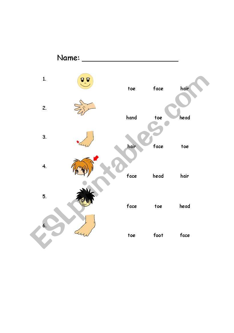 Body parts worksheet