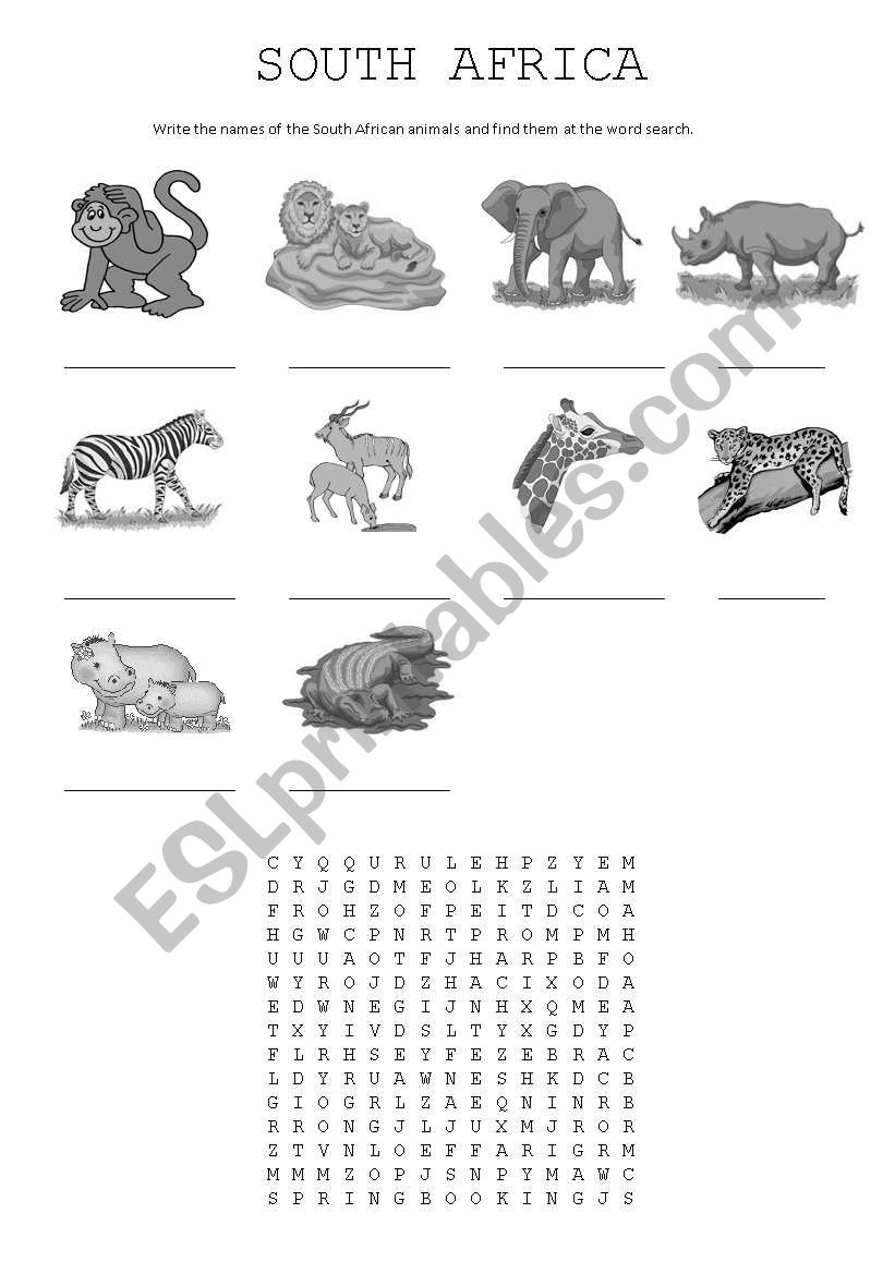 South African animals worksheet