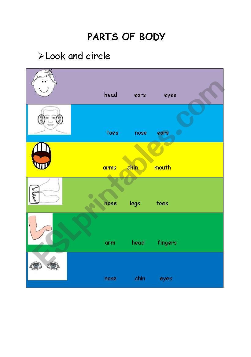 PARTS OF BODY worksheet