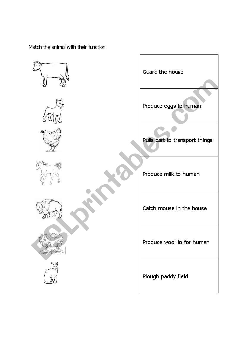 animal and fucntions worksheet