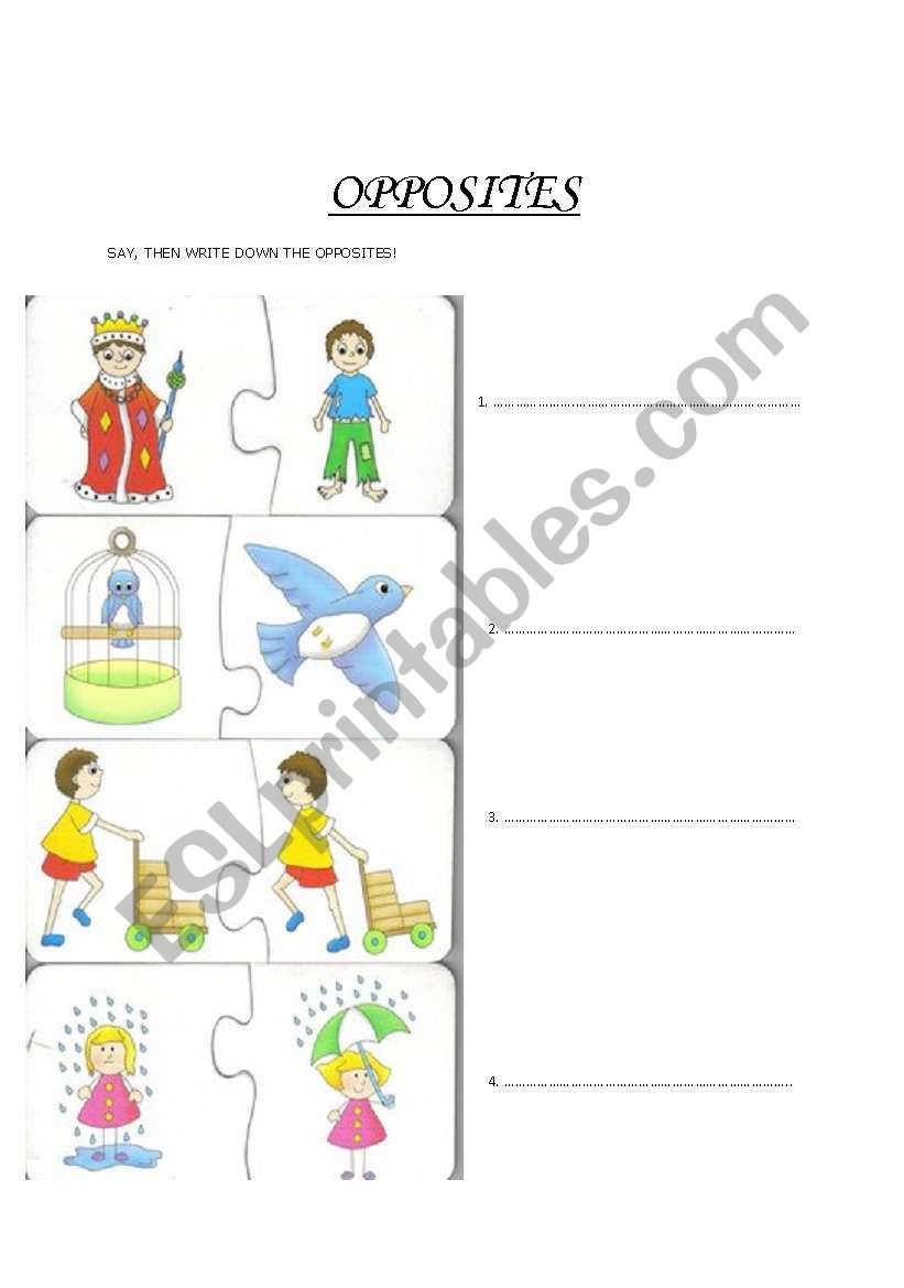 OPPOSITES worksheet