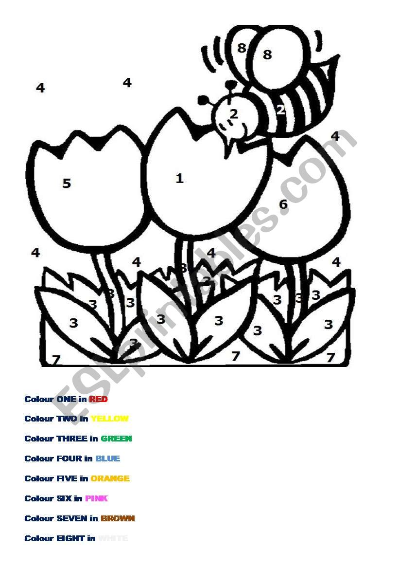 Flowers worksheet