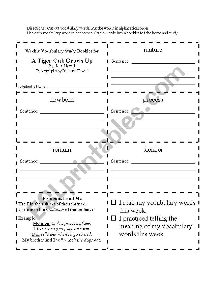 A Tiger Cub Grows UP worksheet