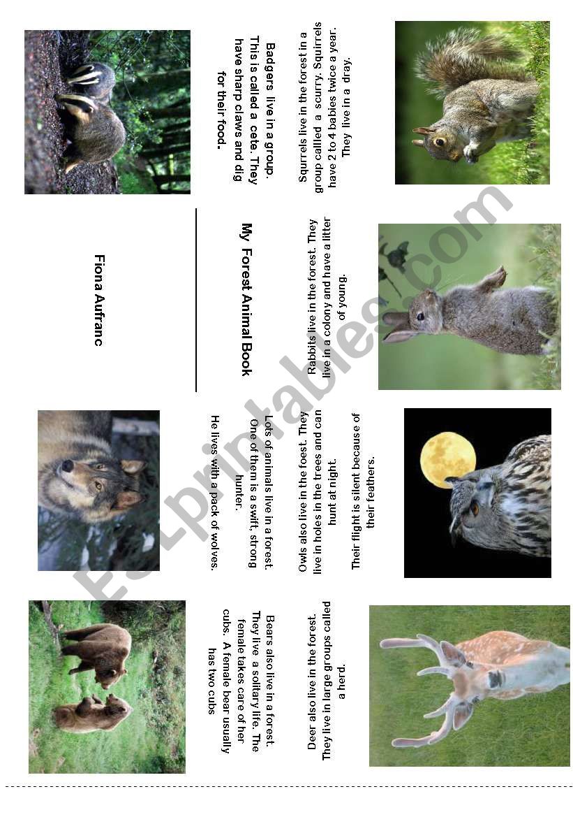 M y Forest Animal Mini Book worksheet