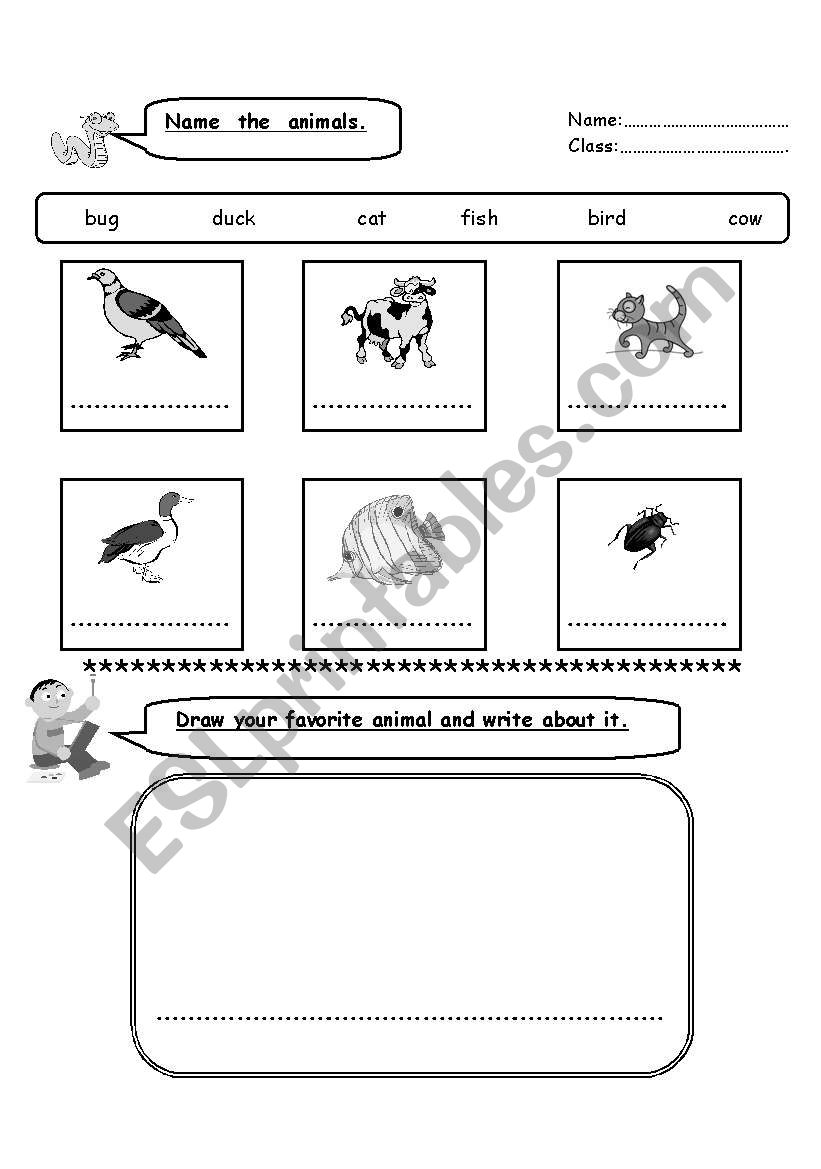 ANIMALS worksheet