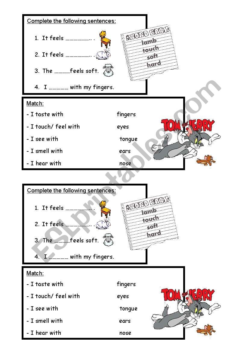 5senses worksheet