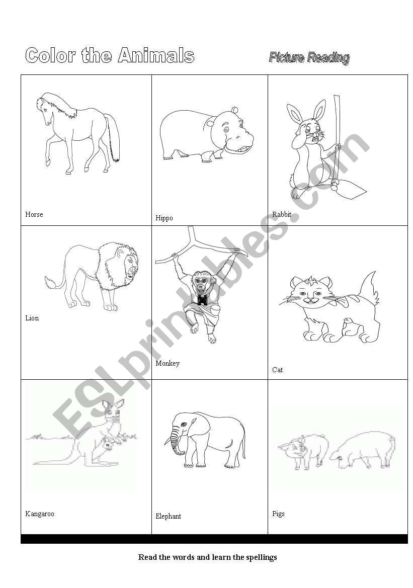 Color the Animals Part 1 worksheet