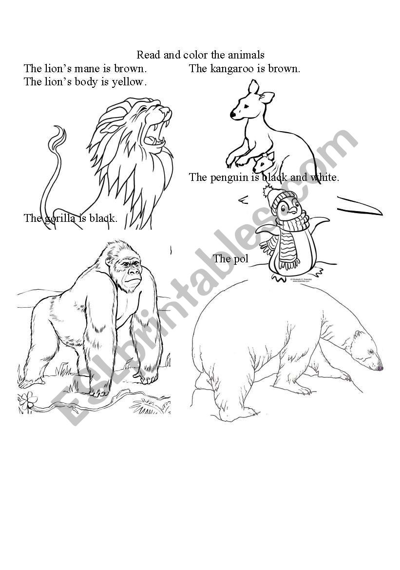 Coloring Animals! worksheet