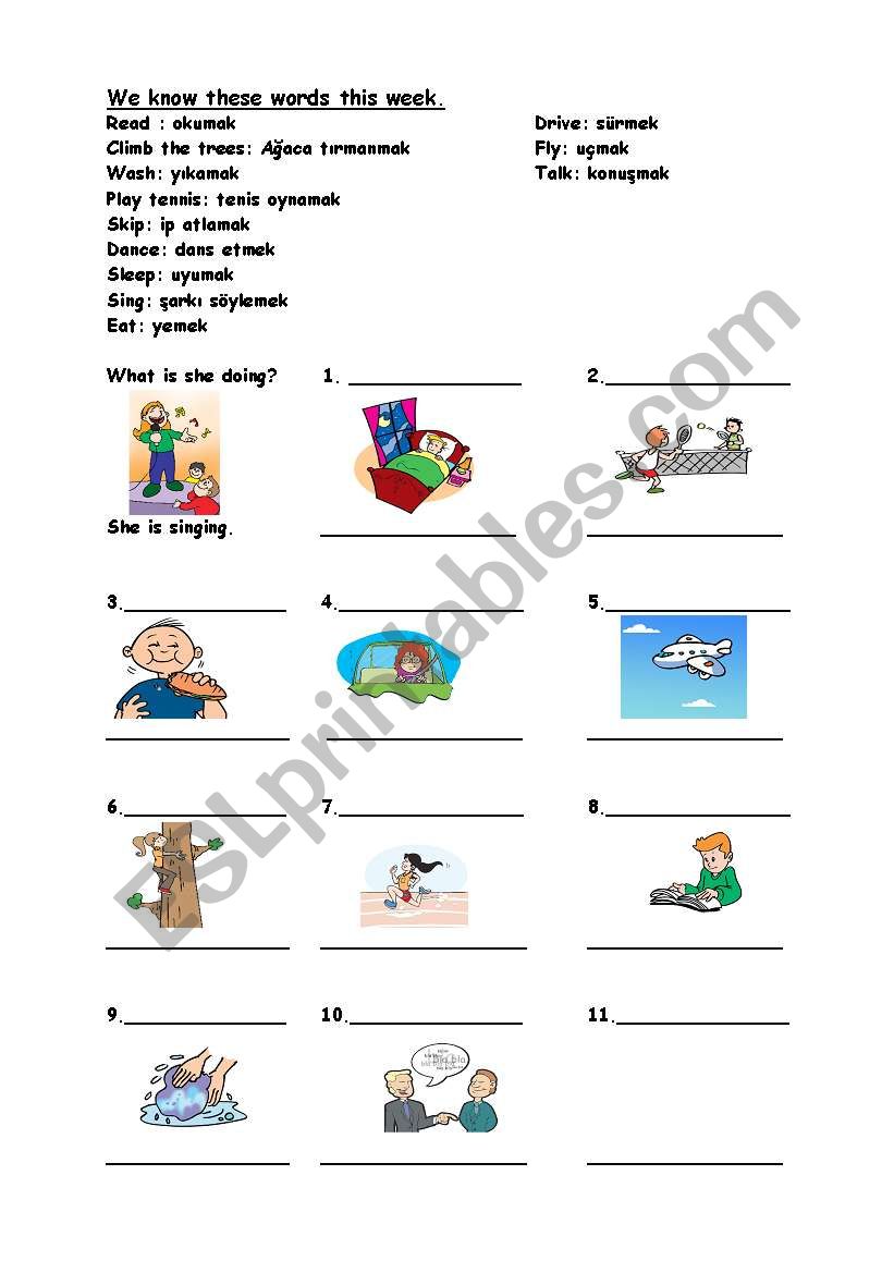 Present Continuous Tense worksheet