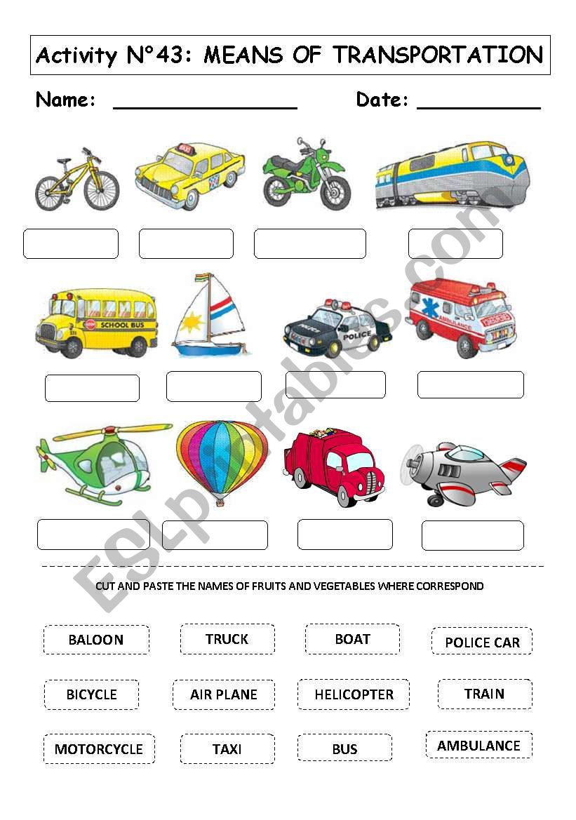 MEANS OF TRANSPORTATION worksheet