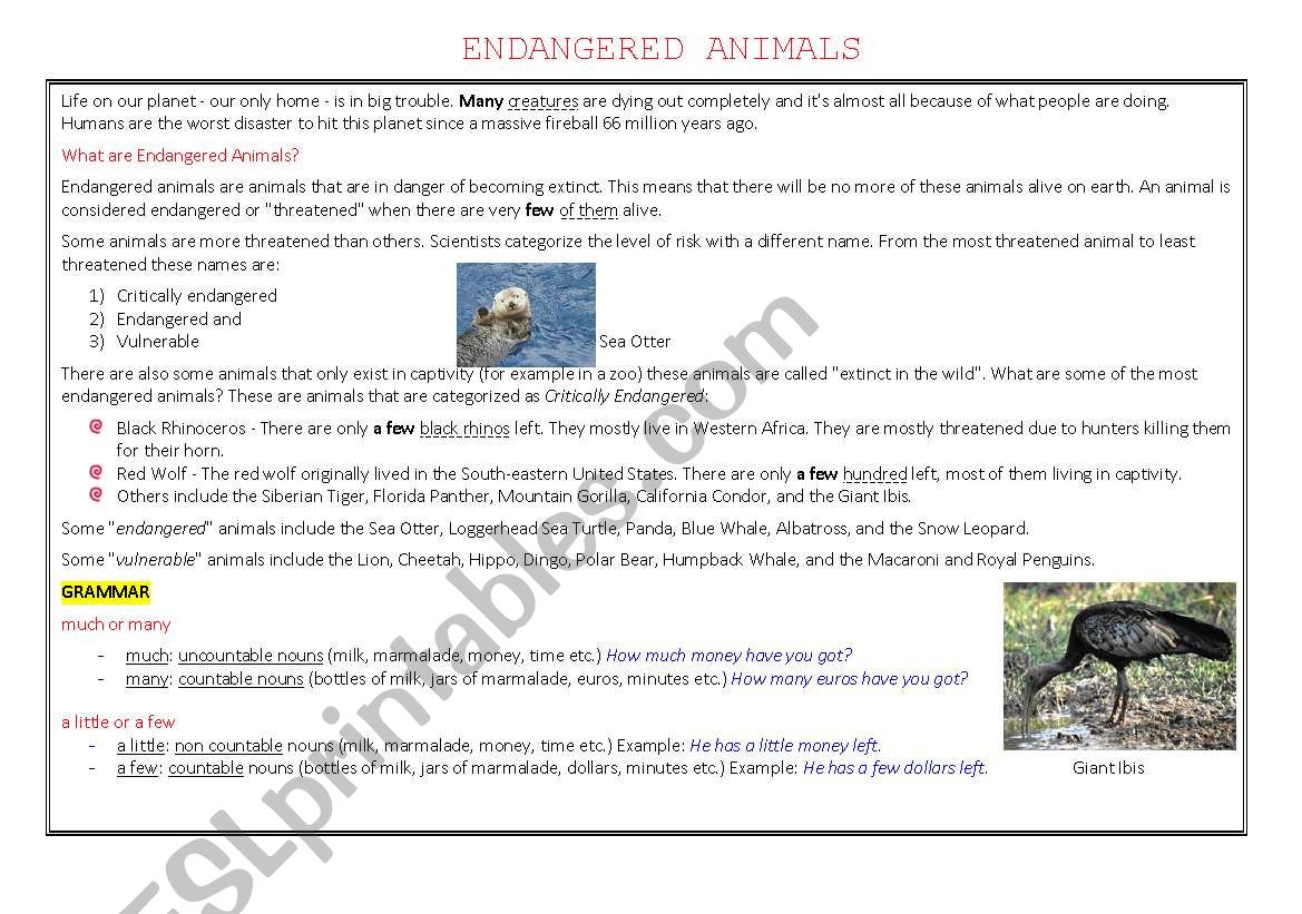Endangered animals worksheet