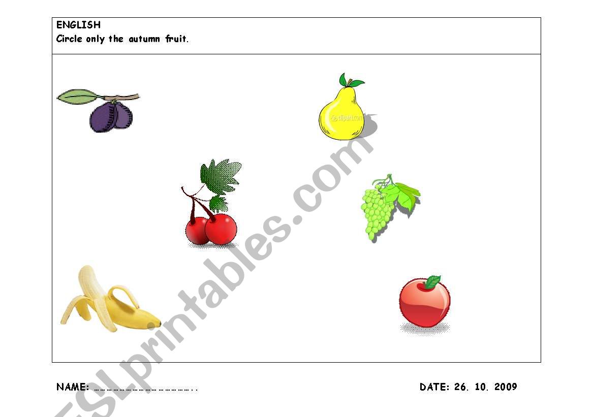 Autumn Fruits worksheet