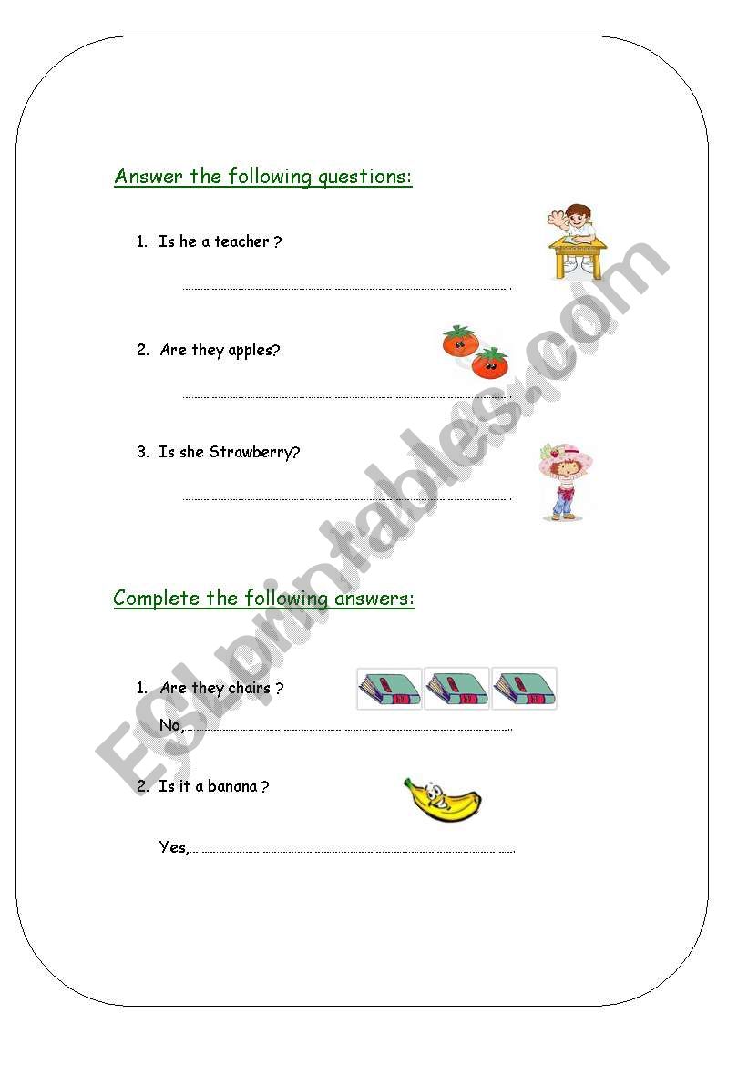 yes & no questions worksheet