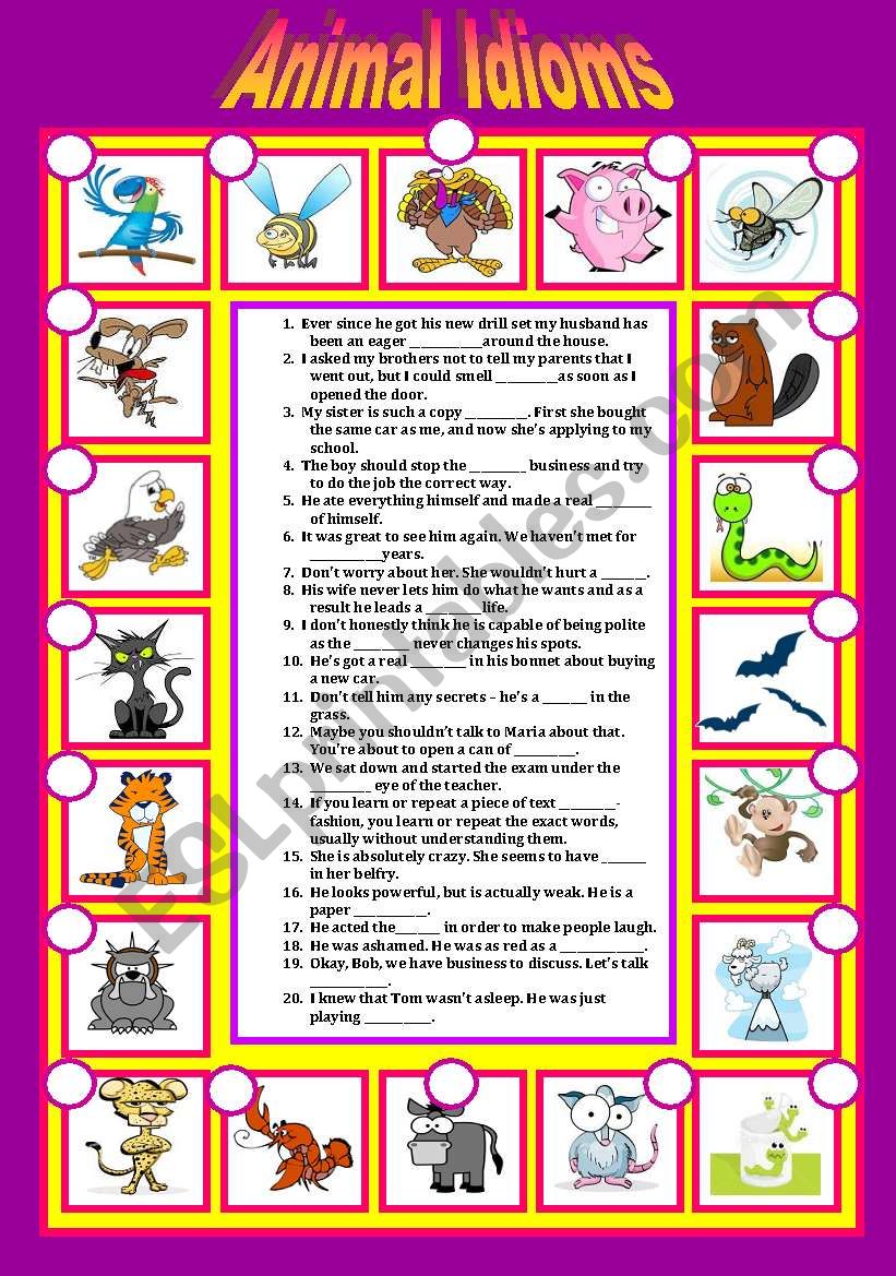 Animal Idioms worksheet