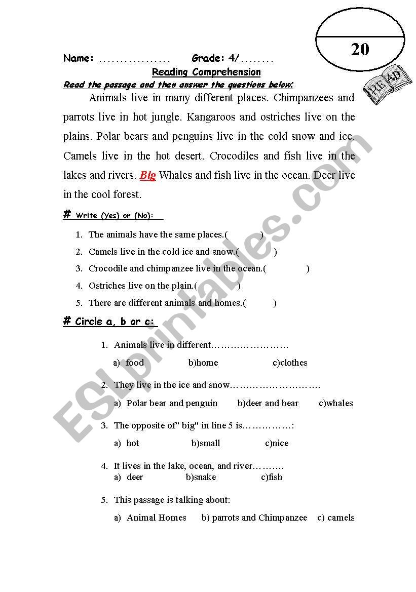 reading exam worksheet