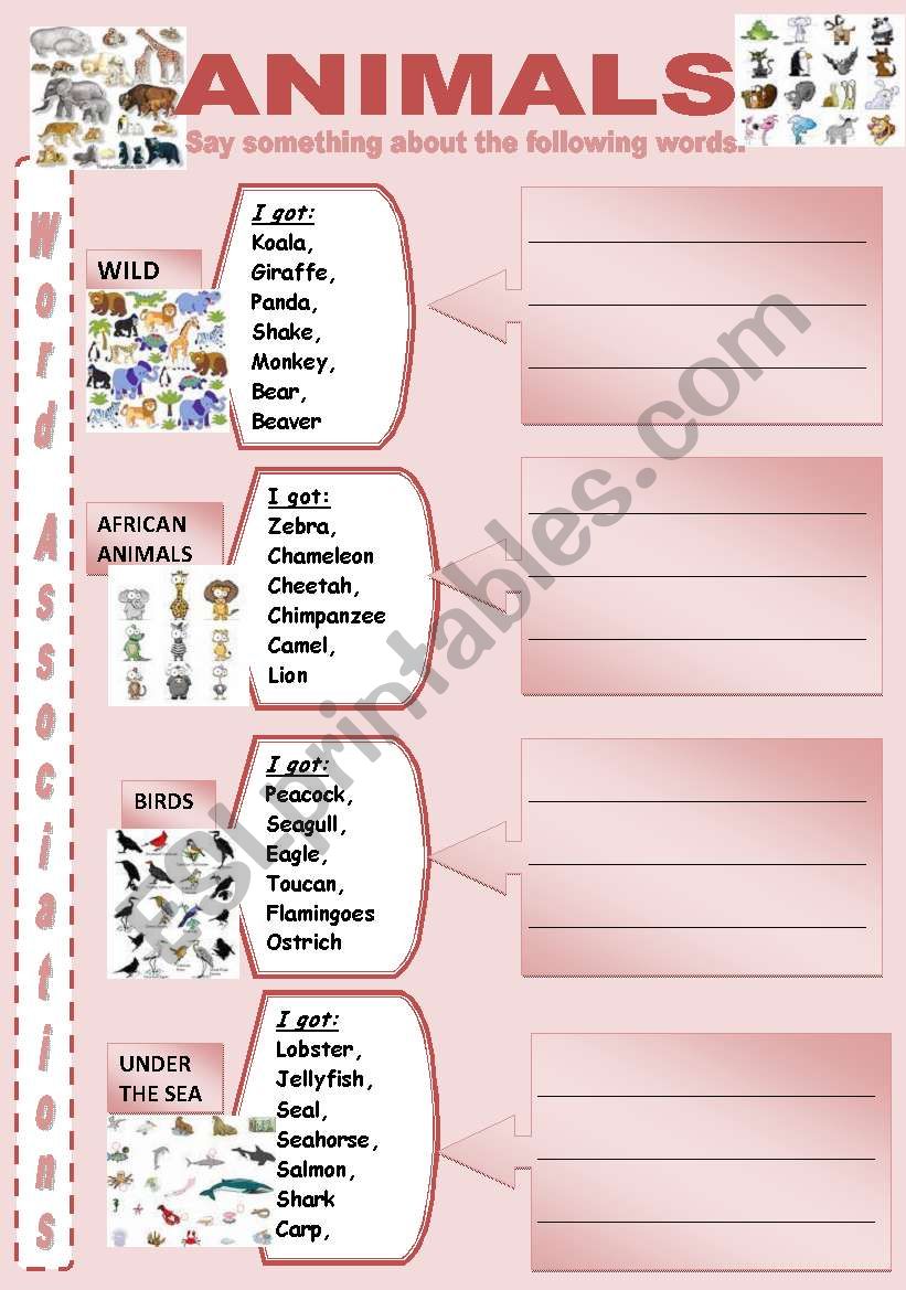 ASSOCIATIONS  ANIMALS 6 worksheet