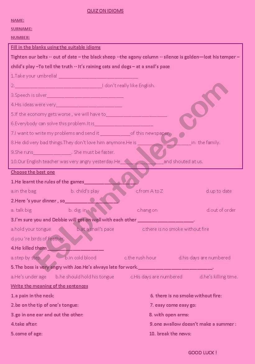 QUIZ ON IDIOMS worksheet