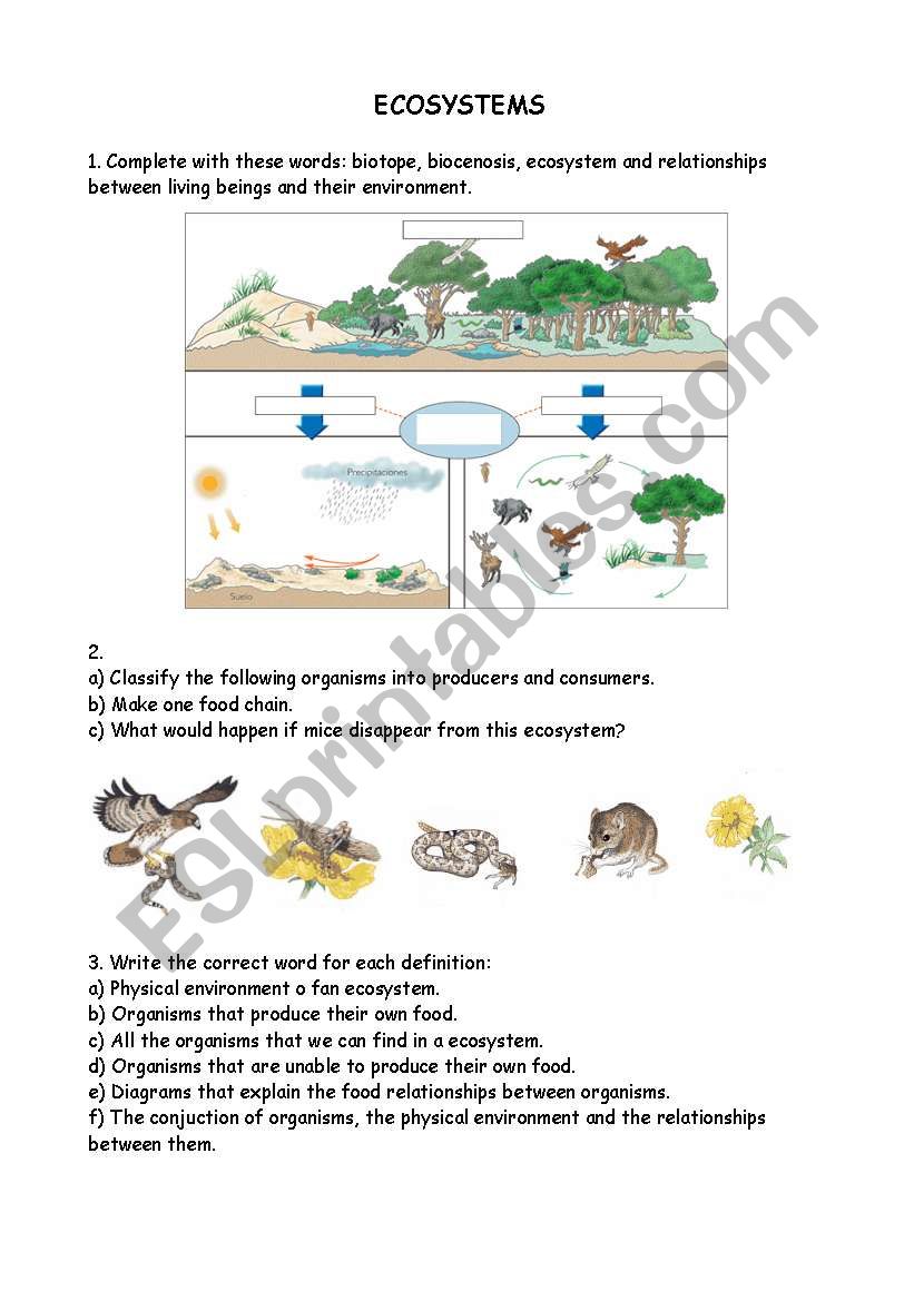 Free Printable Ecosystem Worksheets Pdf - Printable Word Searches